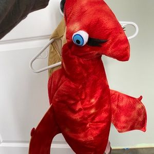 Pet Halloween Costume